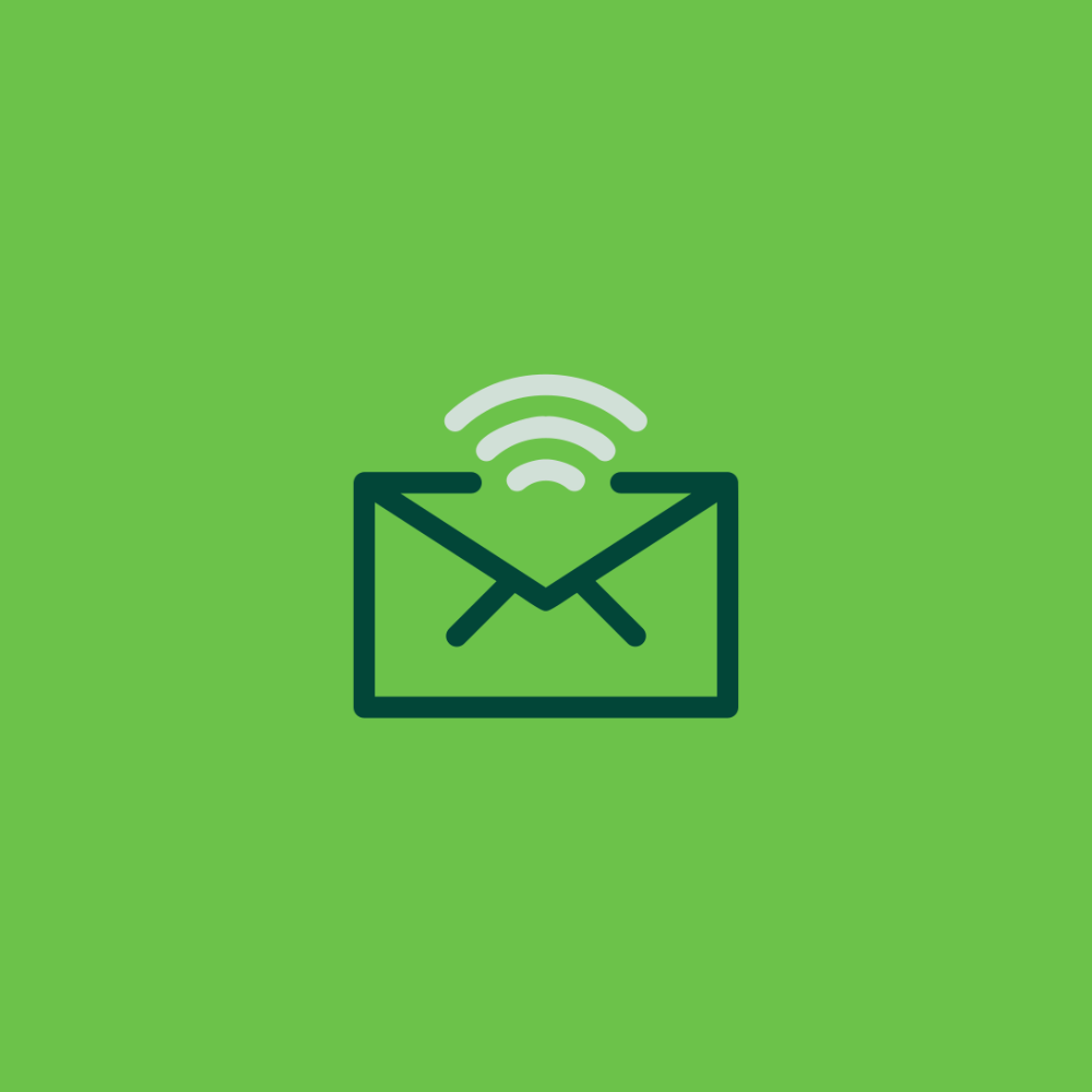 Notificações e Relatórios